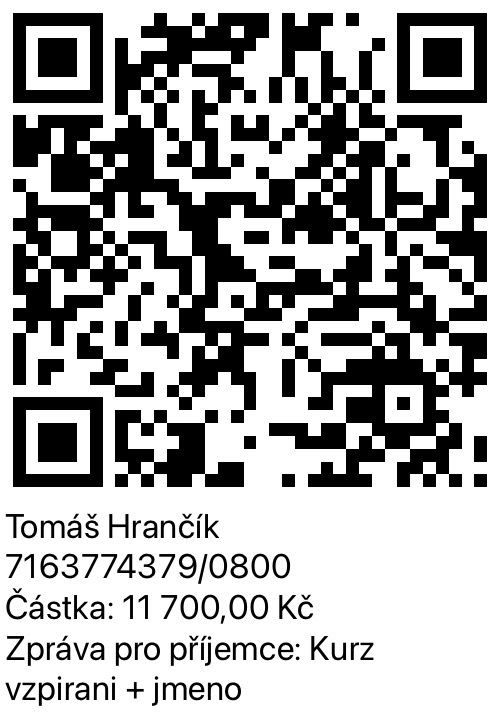 QR kód pro platbu 11 700 Kč